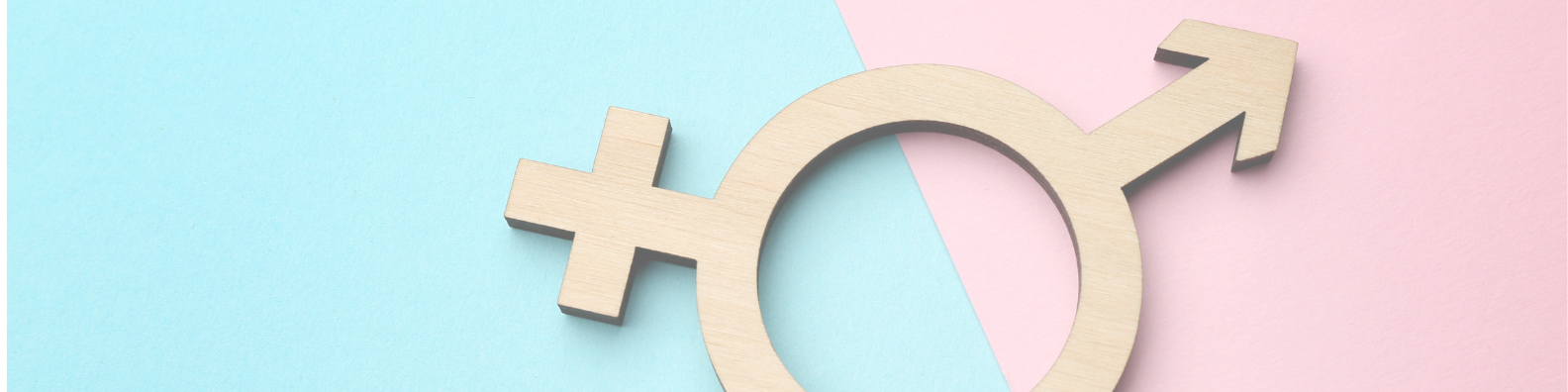 Gender identity and transition support